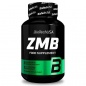  BioTech ZMB 60 